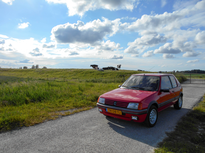 Illustration for article titled While photographing a car... (updated pictures)